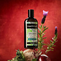 Champú 100% Green  250ml-195166 Champú 100% Green  250ml-195166 2